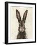 European Hare I-Ethan Harper-Framed Art Print