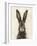 European Hare I-Ethan Harper-Framed Art Print