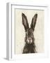 European Hare I-Ethan Harper-Framed Art Print