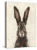 European Hare I-Ethan Harper-Stretched Canvas