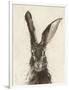 European Hare II-Ethan Harper-Framed Premium Giclee Print