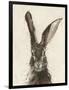 European Hare II-Ethan Harper-Framed Premium Giclee Print