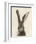 European Hare II-Ethan Harper-Framed Art Print