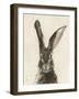 European Hare II-Ethan Harper-Framed Art Print