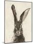 European Hare II-Ethan Harper-Mounted Art Print