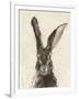 European Hare II-Ethan Harper-Framed Art Print