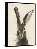 European Hare II-Ethan Harper-Framed Stretched Canvas