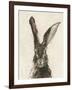 European Hare II-Ethan Harper-Framed Art Print