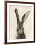 European Hare II-Ethan Harper-Framed Art Print