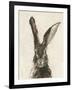 European Hare II-Ethan Harper-Framed Art Print