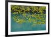 European Hop-Hornbeam Leaves Above Turquoise Water, Lower Lakes, Plitvice Lakes Np, Croatia-Biancarelli-Framed Photographic Print