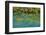 European Hop-Hornbeam Leaves Above Turquoise Water, Lower Lakes, Plitvice Lakes Np, Croatia-Biancarelli-Framed Photographic Print