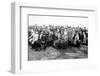 European Immigrants Arriving at Ellis Island, 1907-null-Framed Photo