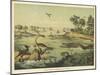 European Landscape During the Jurassic Era-null-Mounted Art Print