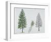 European Larch (Larix Decidua), Tree and Needles-null-Framed Giclee Print