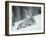 European Lynx in Snow, Norway-Pete Cairns-Framed Photographic Print