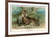 European Lynx-null-Framed Art Print