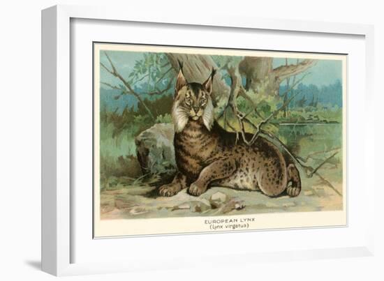 European Lynx-null-Framed Art Print