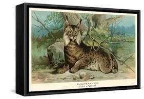 European Lynx-null-Framed Stretched Canvas