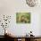 European Marmot X Two-null-Photographic Print displayed on a wall