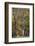 European Oak (Quercus Robur) Trees, Klampenborg Dyrehaven, Denmark, October 2008-Möllers-Framed Photographic Print