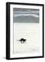 European Otter on Sea Ice-Duncan Shaw-Framed Photographic Print