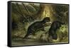 European Otter-null-Framed Stretched Canvas