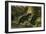 European Otter-null-Framed Giclee Print