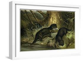 European Otter-null-Framed Giclee Print