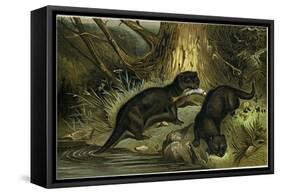 European Otter-null-Framed Stretched Canvas