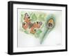 European Peacock Butterfly Inachis Io and Peacock Feather-null-Framed Giclee Print