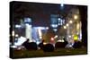 European Rabbits (Oryctolagus Cuniculus) at Night Near L'Arc De Triomphe, Paris, France-Laurent Geslin-Stretched Canvas