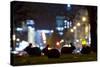 European Rabbits (Oryctolagus Cuniculus) at Night Near L'Arc De Triomphe, Paris, France-Laurent Geslin-Stretched Canvas