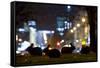 European Rabbits (Oryctolagus Cuniculus) at Night Near L'Arc De Triomphe, Paris, France-Laurent Geslin-Framed Stretched Canvas