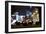 European Rabbits (Oryctolagus Cuniculus) at Night Near L'Arc De Triomphe, Paris, France-Laurent Geslin-Framed Photographic Print