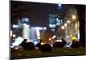 European Rabbits (Oryctolagus Cuniculus) at Night Near L'Arc De Triomphe, Paris, France-Laurent Geslin-Mounted Photographic Print