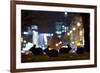 European Rabbits (Oryctolagus Cuniculus) at Night Near L'Arc De Triomphe, Paris, France-Laurent Geslin-Framed Photographic Print