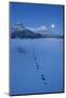 European River Otter Footprints on Frozen Loch Lurgainn, with Sgorr Tuath and Deas, Scotland, UK-Mark Hamblin-Mounted Photographic Print