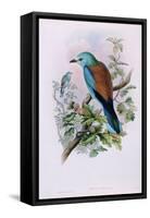 European Roller; Coracias Garrula, 1862-1873 (Hand-Finished Colour Lithograph)-John Gould-Framed Stretched Canvas