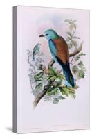 European Roller; Coracias Garrula, 1862-1873 (Hand-Finished Colour Lithograph)-John Gould-Stretched Canvas