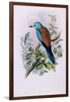 European Roller; Coracias Garrula, 1862-1873 (Hand-Finished Colour Lithograph)-John Gould-Framed Giclee Print