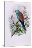 European Roller; Coracias Garrula, 1862-1873 (Hand-Finished Colour Lithograph)-John Gould-Stretched Canvas