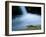 European Salamander on Rock in Stream, Pyrenees, Navarra Region, Spain-Inaki Relanzon-Framed Photographic Print