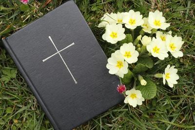Bible on the grass with primrose at springtime