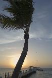 USA, Florida, Florida Keys, Sunrise over pier and boat dock at luxurious Cheeca Lodge, Islamorada-European School-Photographic Print