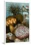 European Sea Anemones-Science Source-Framed Giclee Print