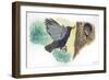 European Starling Sturnus Vulgaris Bringing Food to Young in Nest-null-Framed Giclee Print