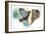European Starling Sturnus Vulgaris Bringing Food to Young in Nest-null-Framed Giclee Print