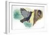 European Starling Sturnus Vulgaris Bringing Food to Young in Nest-null-Framed Giclee Print