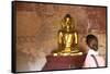 European Tourist Looking at Golden Buddha Statue in Bagan, Myanmar-Harry Marx-Framed Stretched Canvas